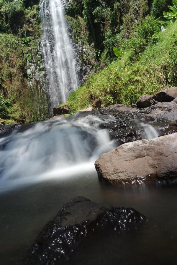 Mkoani Homestay Moshi Luaran gambar
