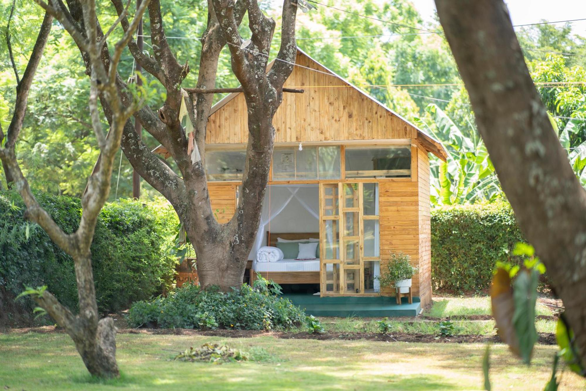Mkoani Homestay Moshi Luaran gambar